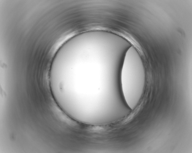 X0000091180806200708091221