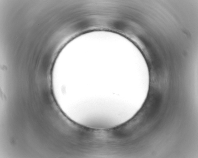 X0000091180807200708091221