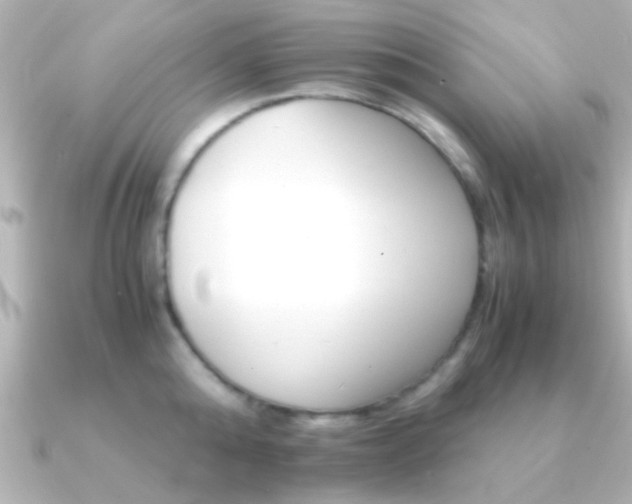 X0000091180808200708091221
