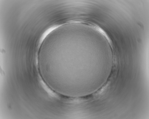 X0000091180811200708091221