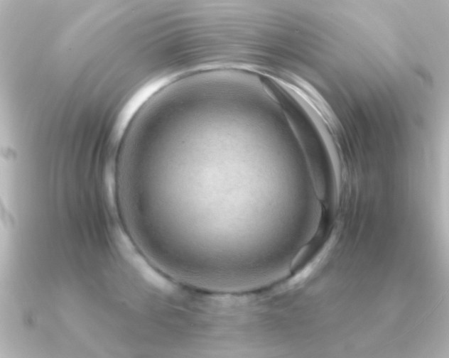 X0000091180812200708091221