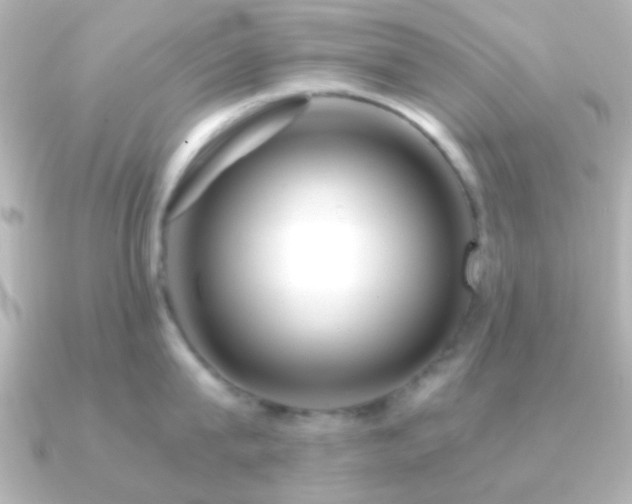 X0000091180815200708091221