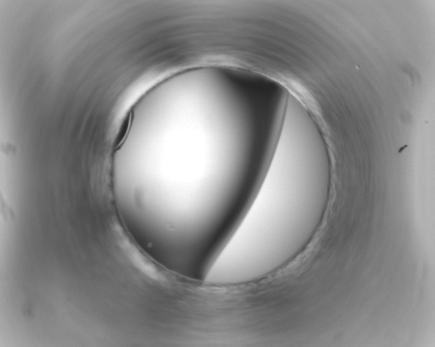 X0000091180816200708091221