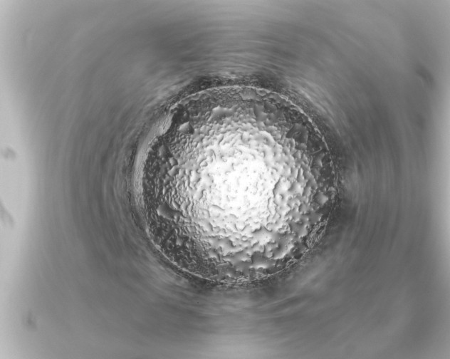 X0000091180817200708091220
