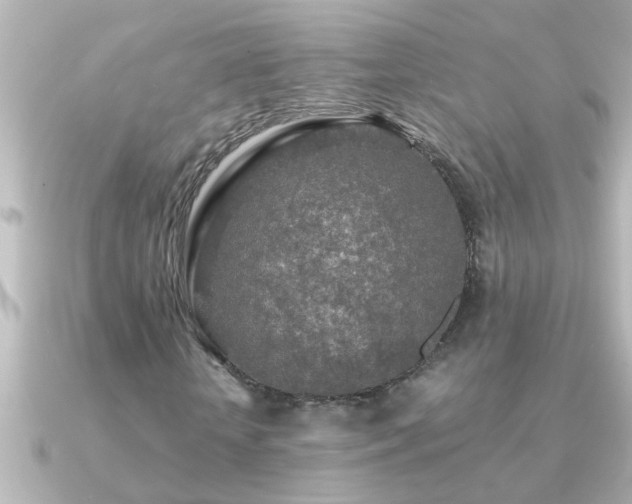 X0000091180818200708091220