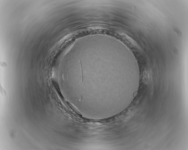 X0000091180821200708091220