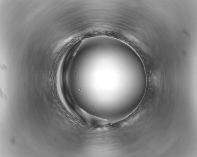 X0000091180822200708091220