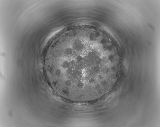 X0000091180823200708091220
