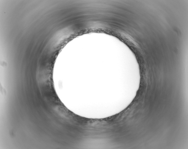 X0000091180824200708091220