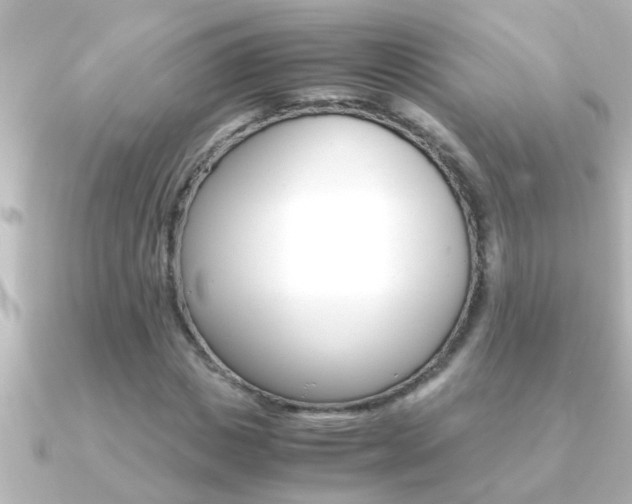 X0000091180825200708091220