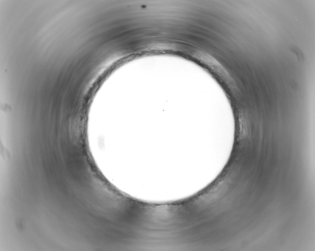 X0000091180828200708091220