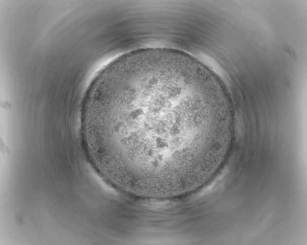 X0000091180831200708091220