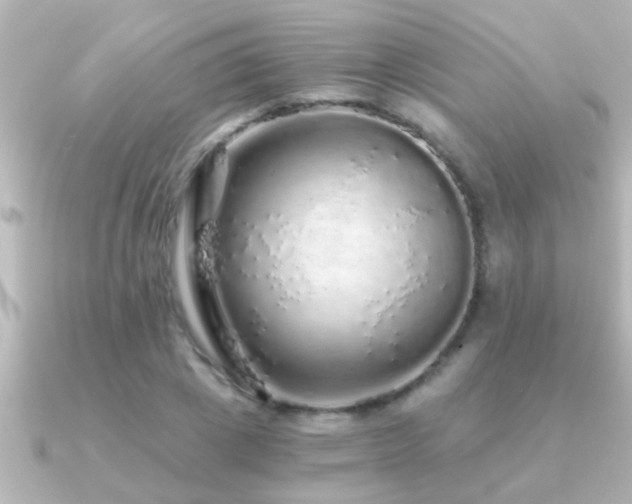X0000091180833200708091220