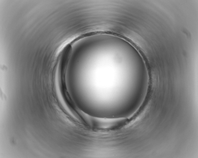X0000091180834200708091220