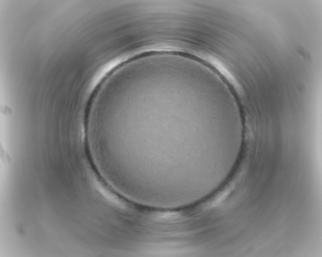 X0000091180837200708091220