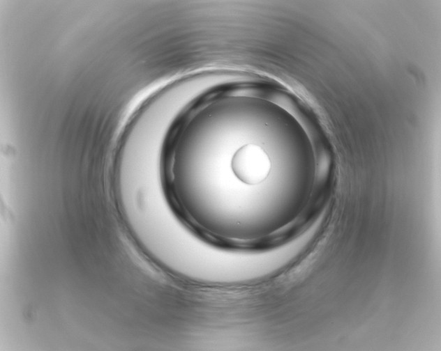X0000091180838200708091220