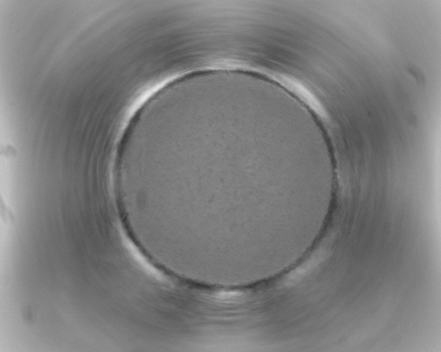 X0000091180839200708091220