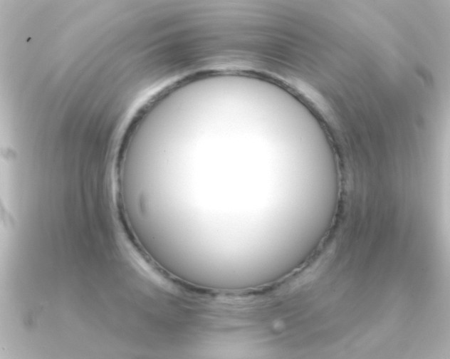 X0000091180840200708091220