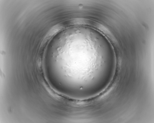 X0000091180841200708091220