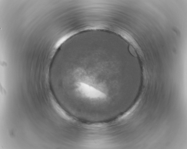 X0000091180842200708091220