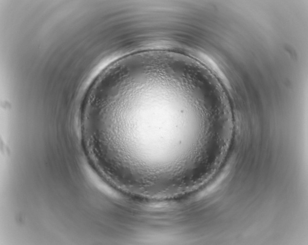 X0000091180843200708091220