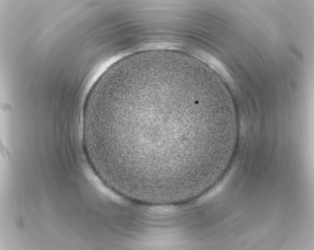 X0000091180844200708091220