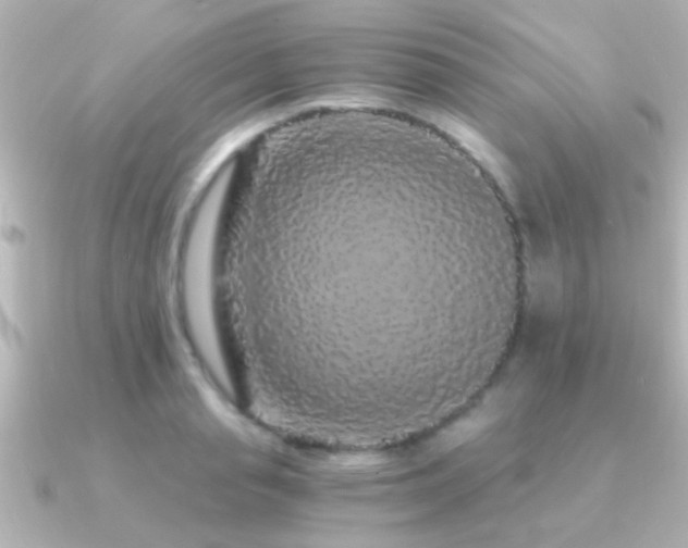 X0000091180845200708091221