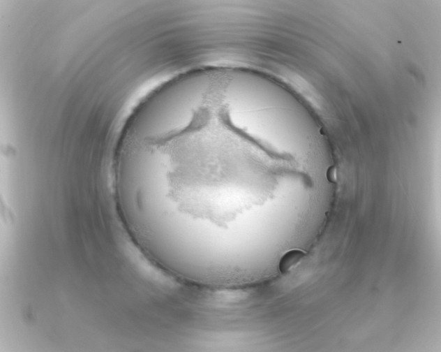 X0000091180848200708091221