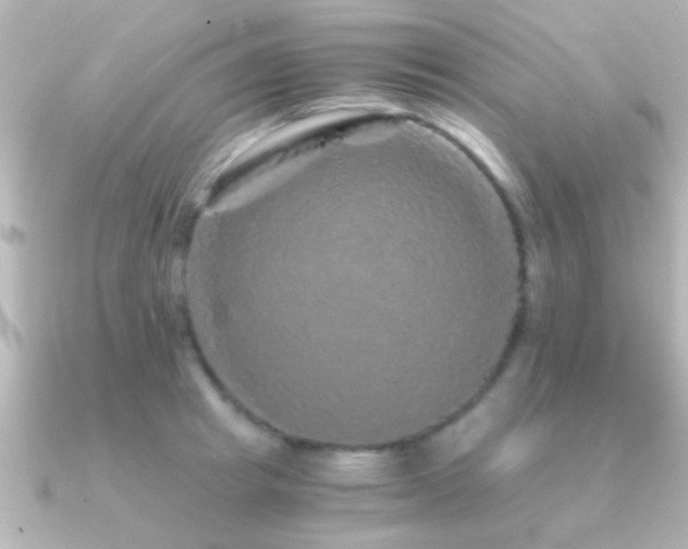 X0000091180849200708091221