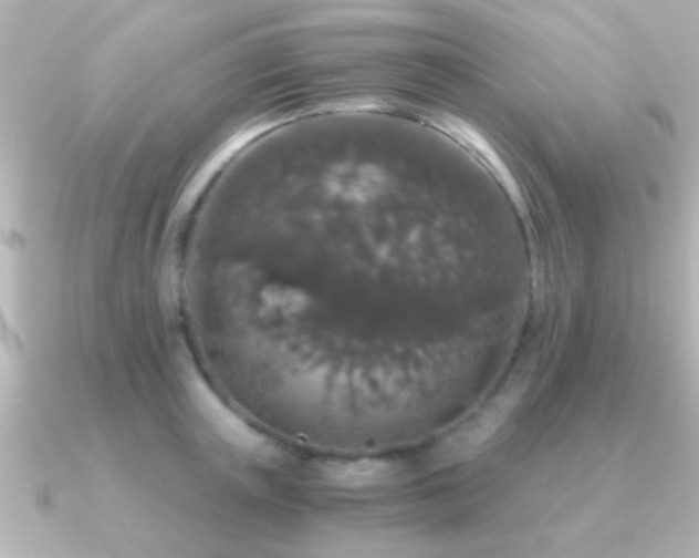 X0000091180851200708091221