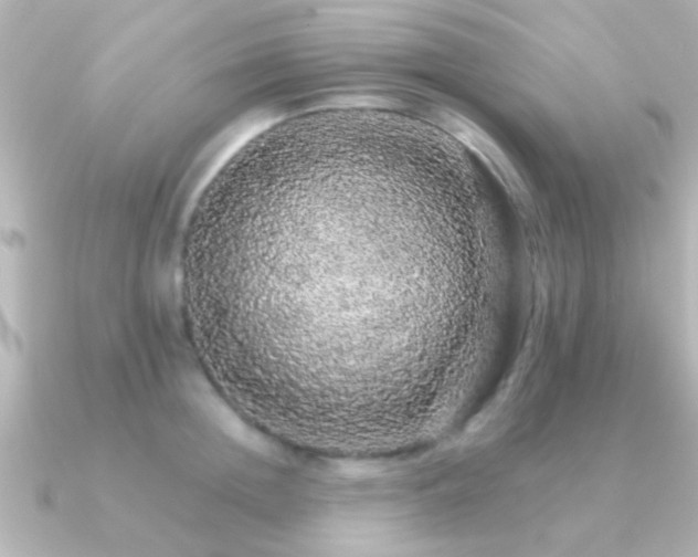 X0000091180852200708091221