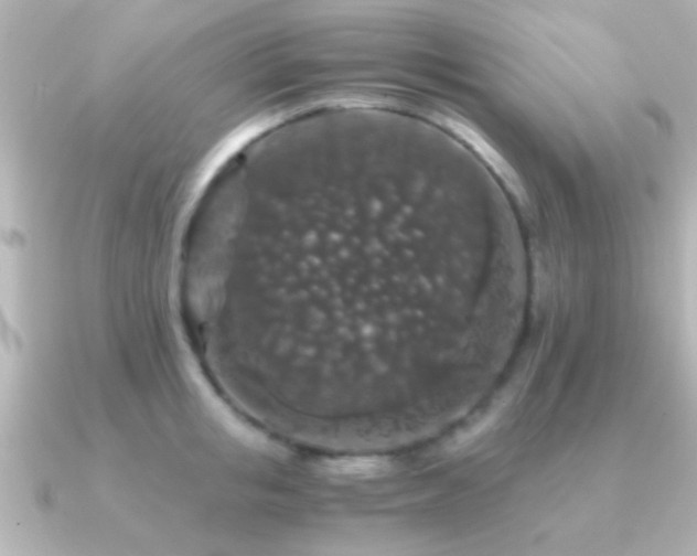 X0000091180853200708091221