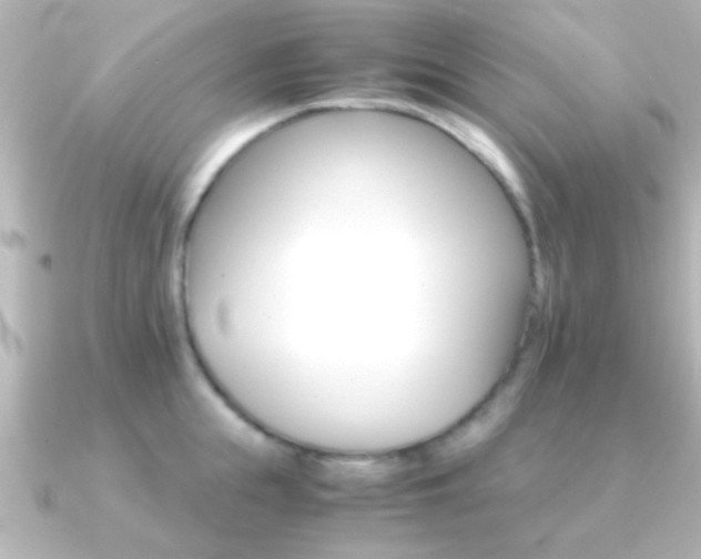 X0000091180855200708091221