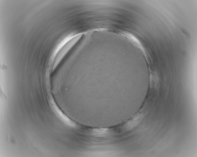X0000091180859200708091221