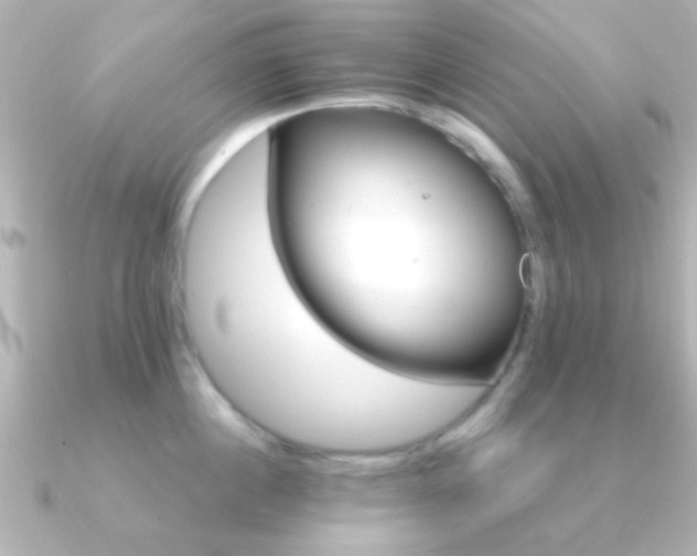 X0000091180860200708091221