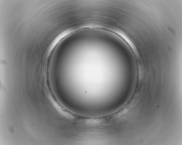 X0000091180861200708091221