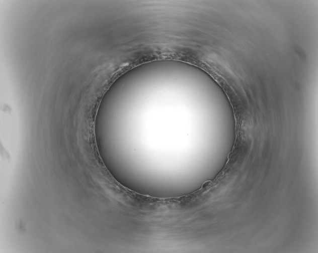 X0000091180865200708091220