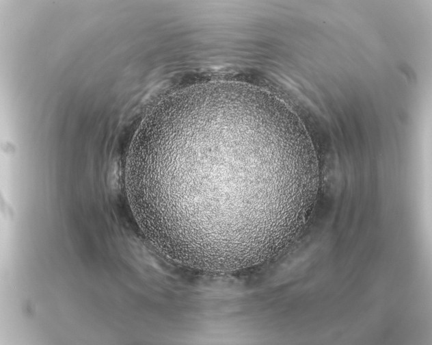 X0000091180866200708091220