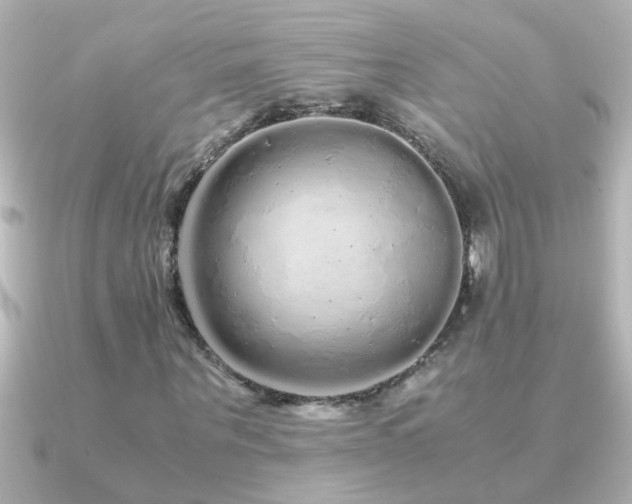 X0000091180867200708091220