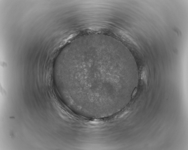X0000091180868200708091220