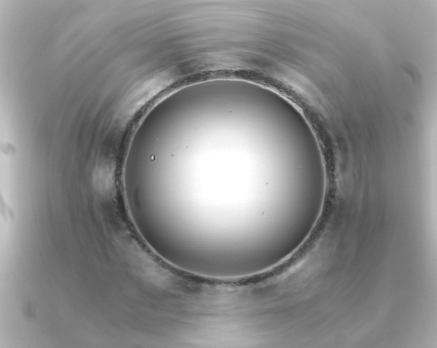 X0000091180873200708091220