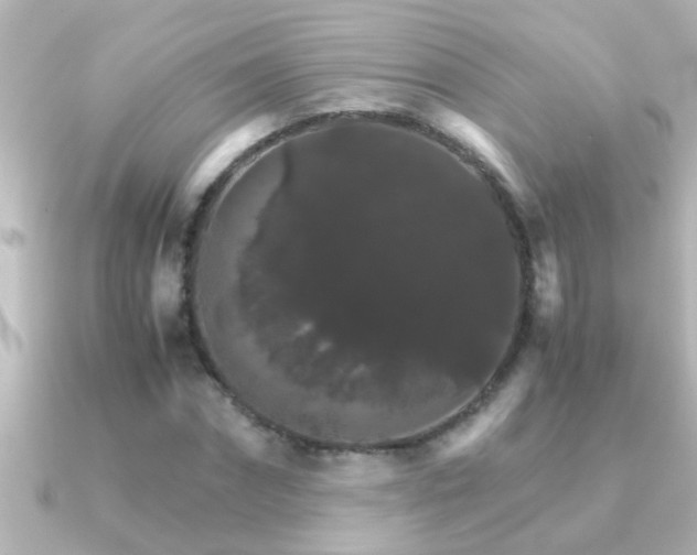 X0000091180874200708091220