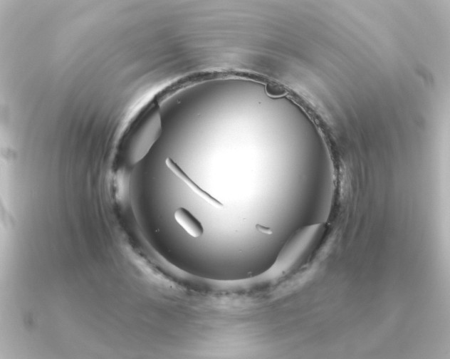 X0000091180876200708091220