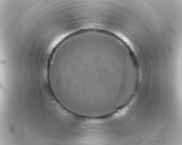 X0000091180877200708091220