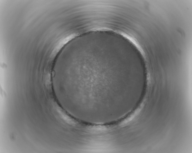 X0000091180881200708091220
