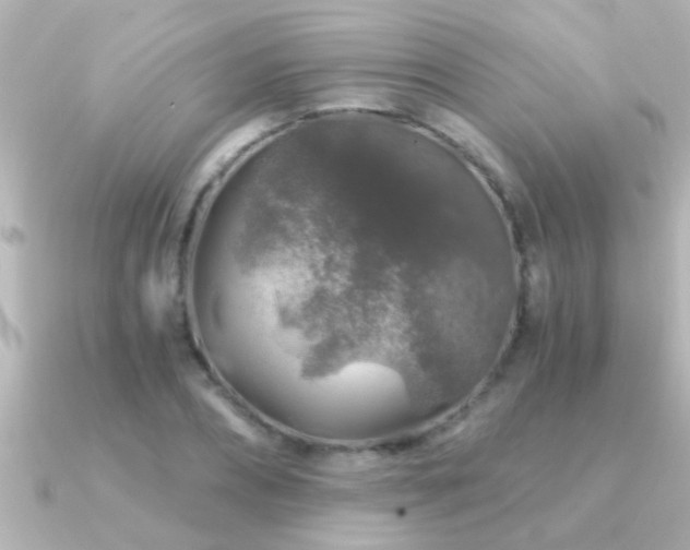 X0000091180882200708091220