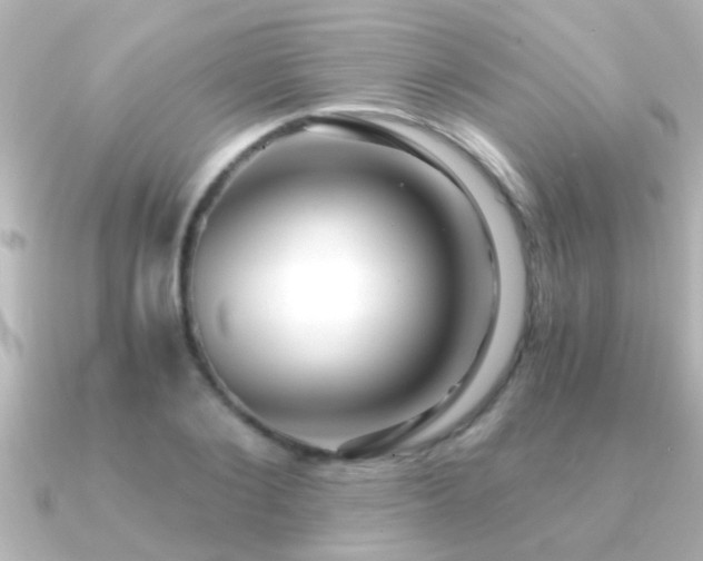 X0000091180884200708091220