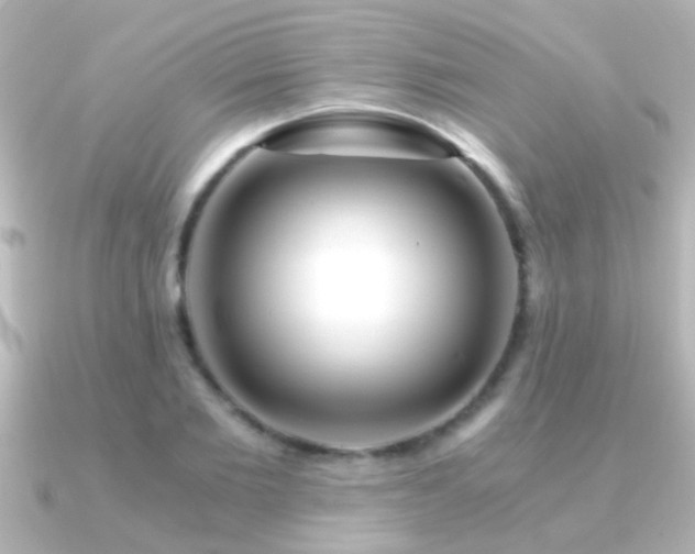 X0000091180885200708091220