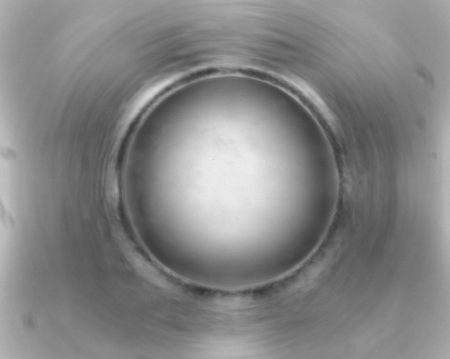 X0000091180887200708091220