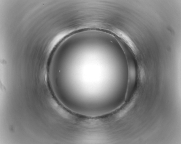 X0000091180888200708091220